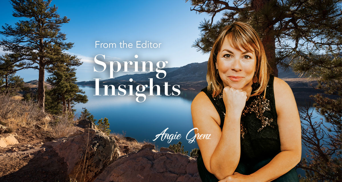 Spring Insights