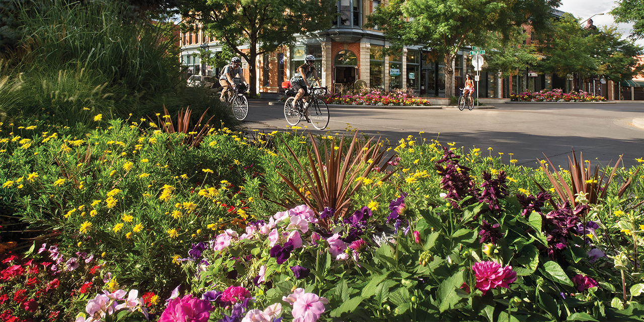 Fort Collins Blossoms: The city’s colorful  summer bounty is a year-round effort.