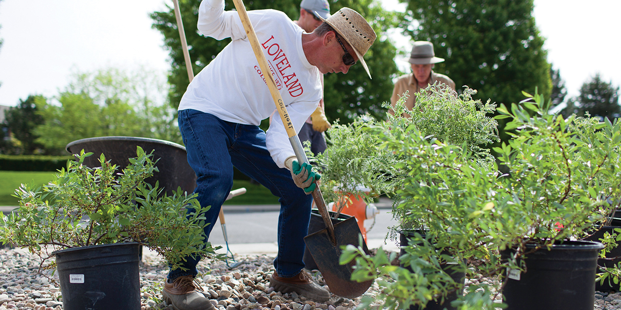 Communities Unveil Bird-friendly Gardens