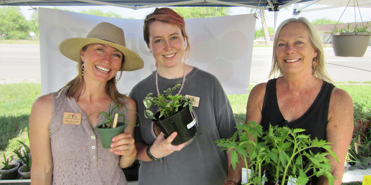 Spring Tomato Plant Sale :: May 17 :: Loveland Youth Gardeners :: Loveland