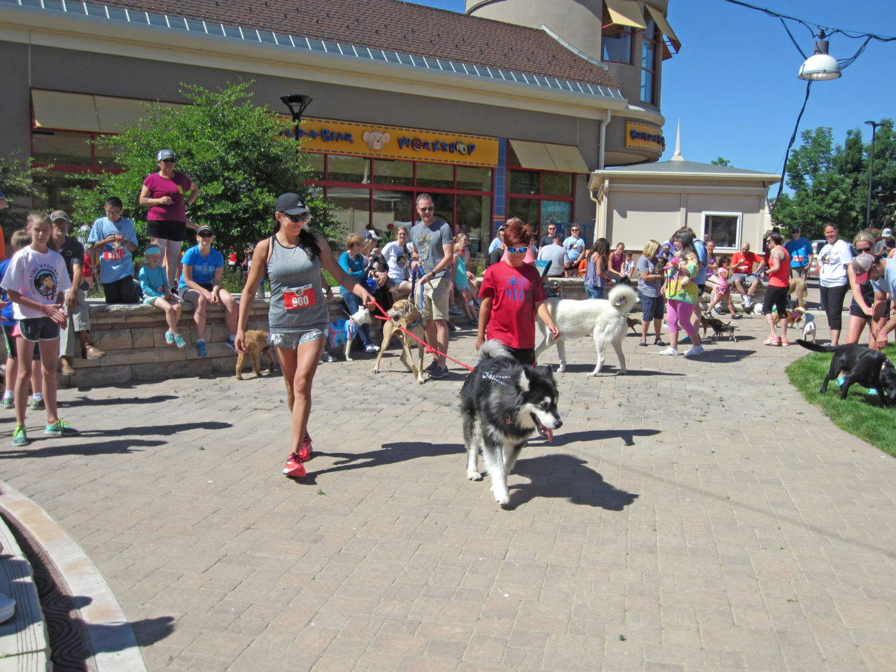 Fire Hydrant 5K :: June 2 :: The Promenade Shops at Centerra :: Loveland