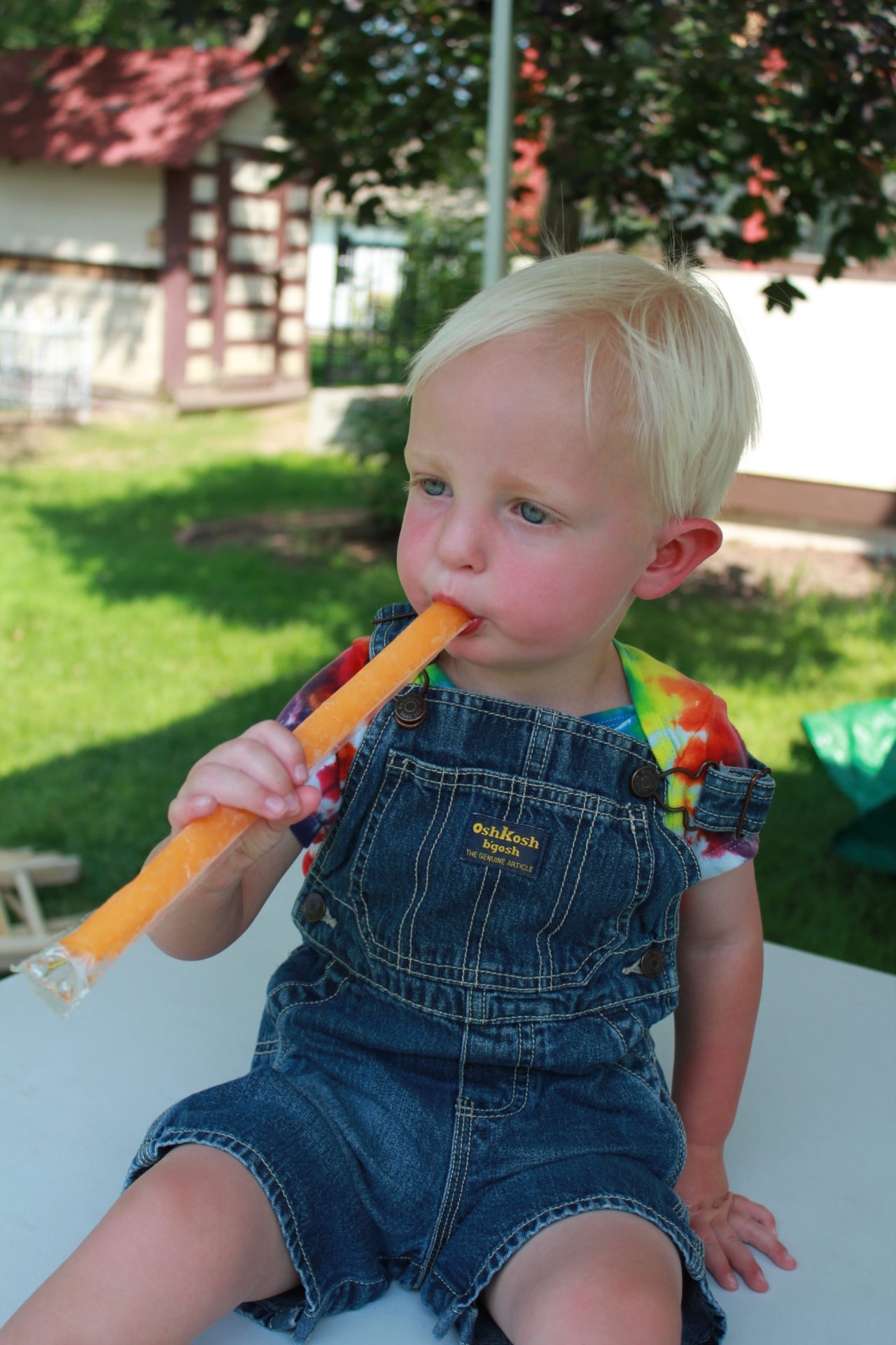 Pets ’n’ Popsicles at Centennial Village Museum