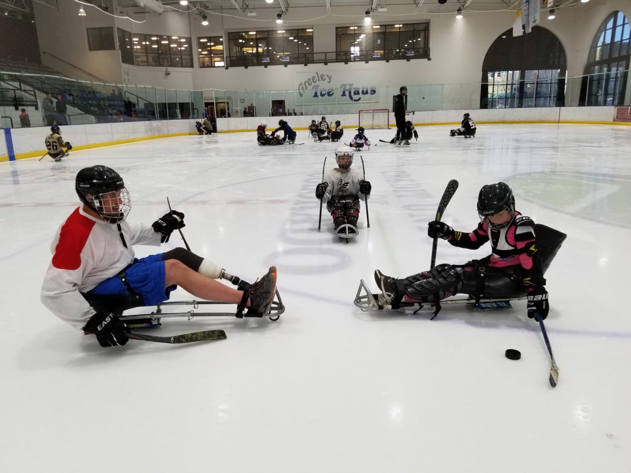 Learn how to play Sled Hockey