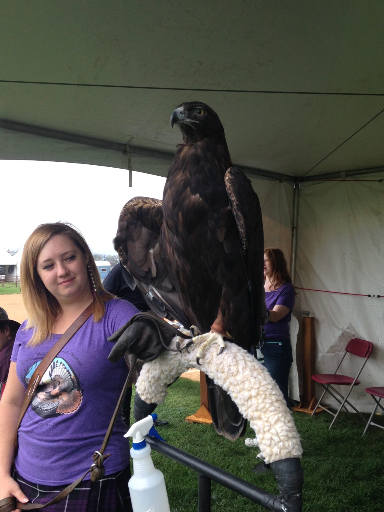 Rocky Mountain Raptor Program Summer Open House