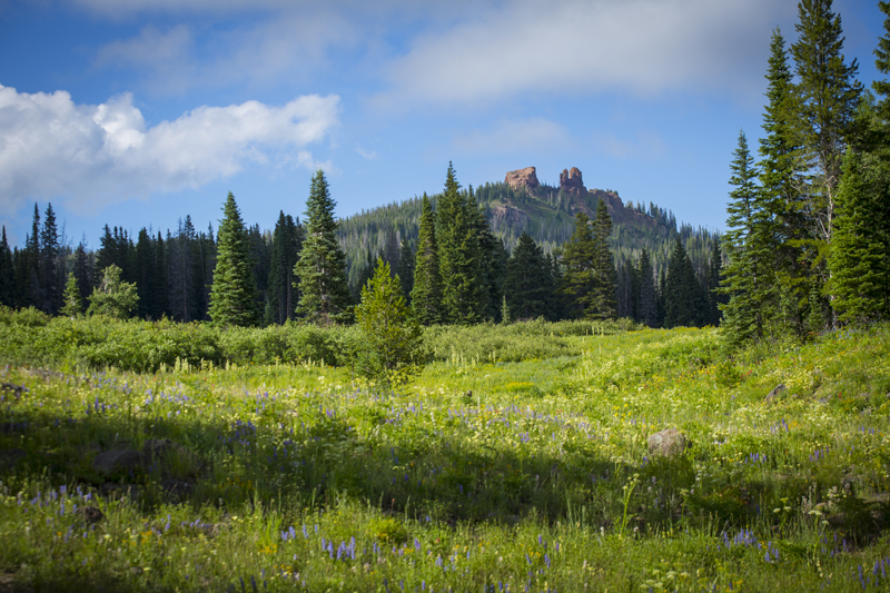 Steamboat Springs