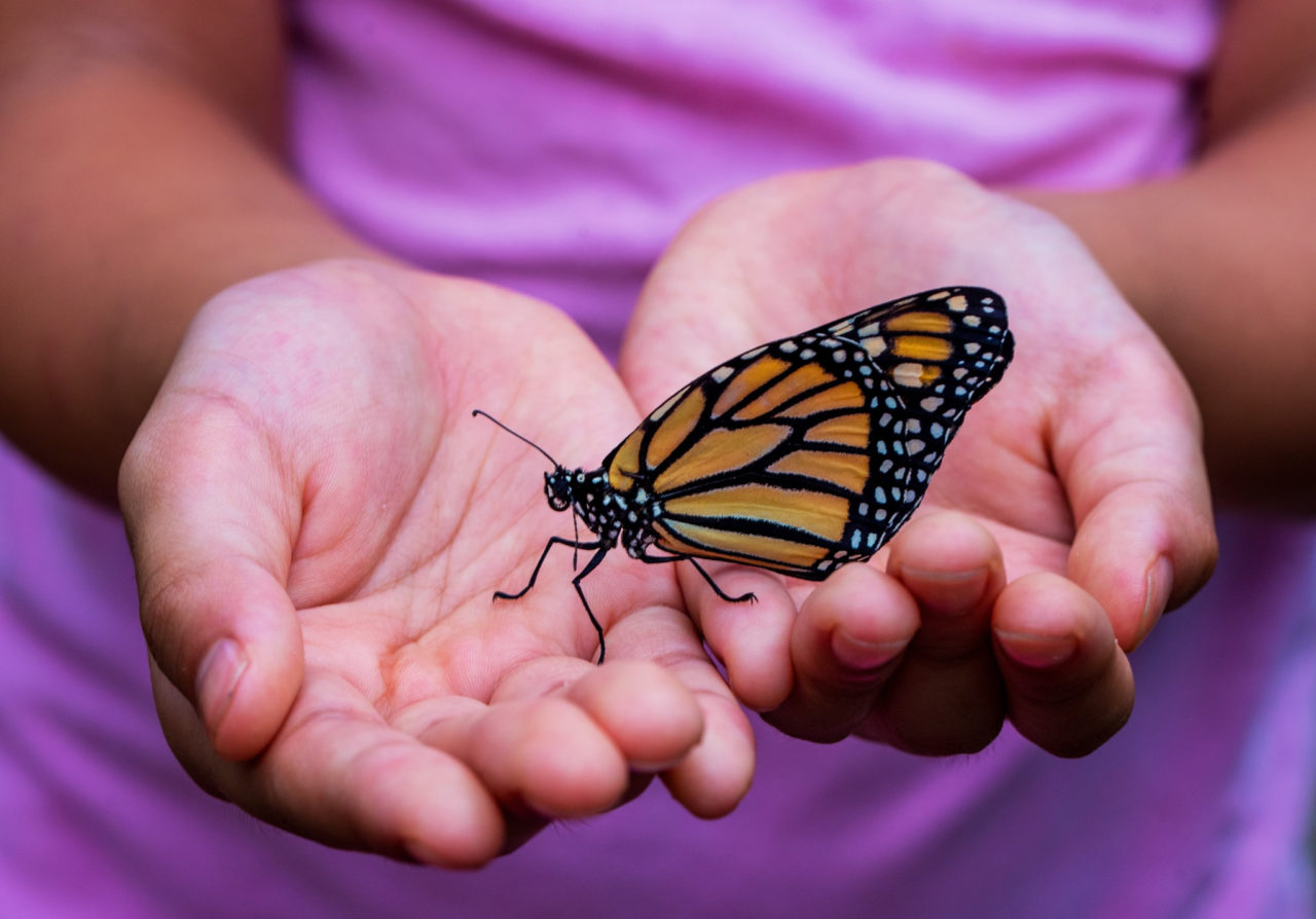 Poudre River Public Library District’s Curiosity Pass Program