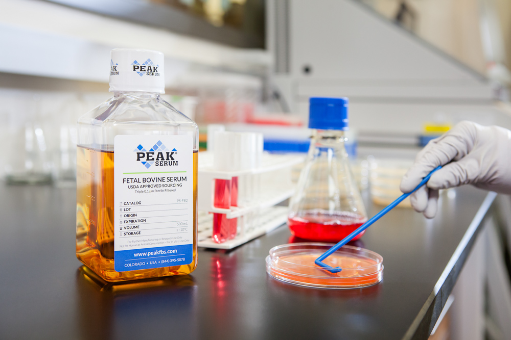 Local Lab Supports CSU Student Development with Industry Awareness Initiative