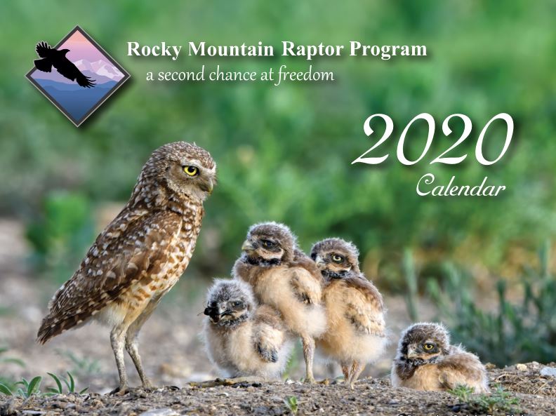 RMRP 2021 Photo Calendar Contest Submissions are Open!