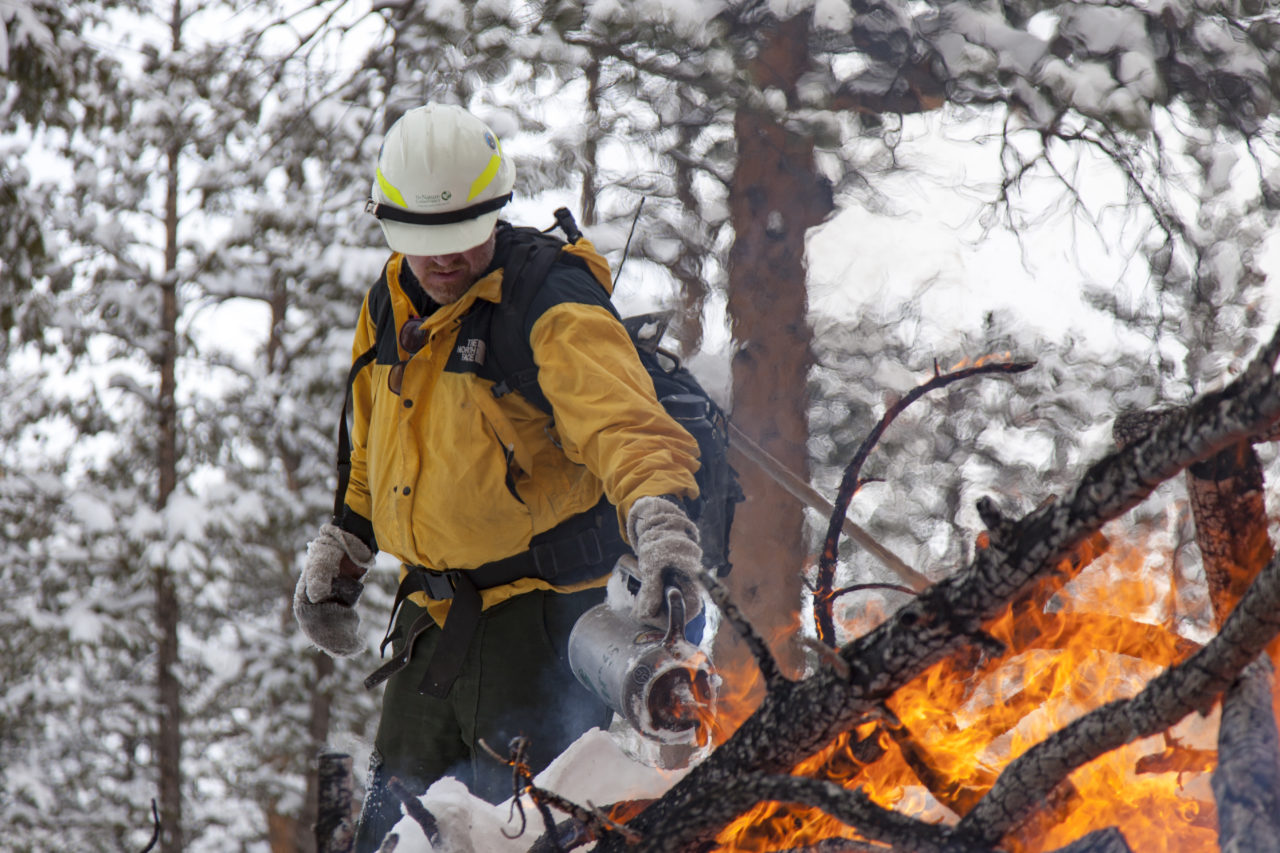 New Collaborative Launches to Increase Pace and Scale of Prescribed Fire on Colorado’s Front Range