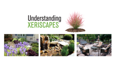 Understanding Xeriscapes