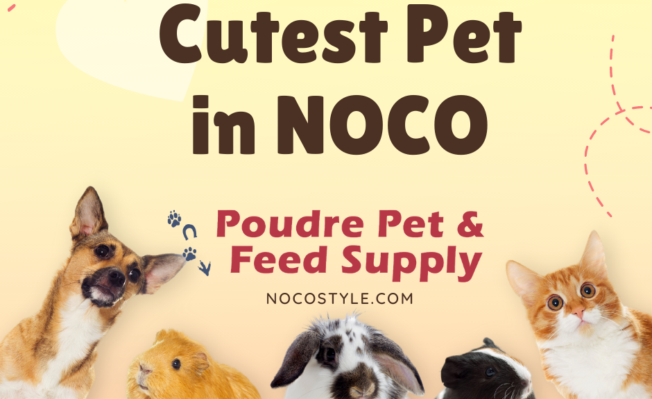 2022 Cutest Pet in NOCO