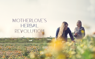 Motherlove’s Herbal Revolution