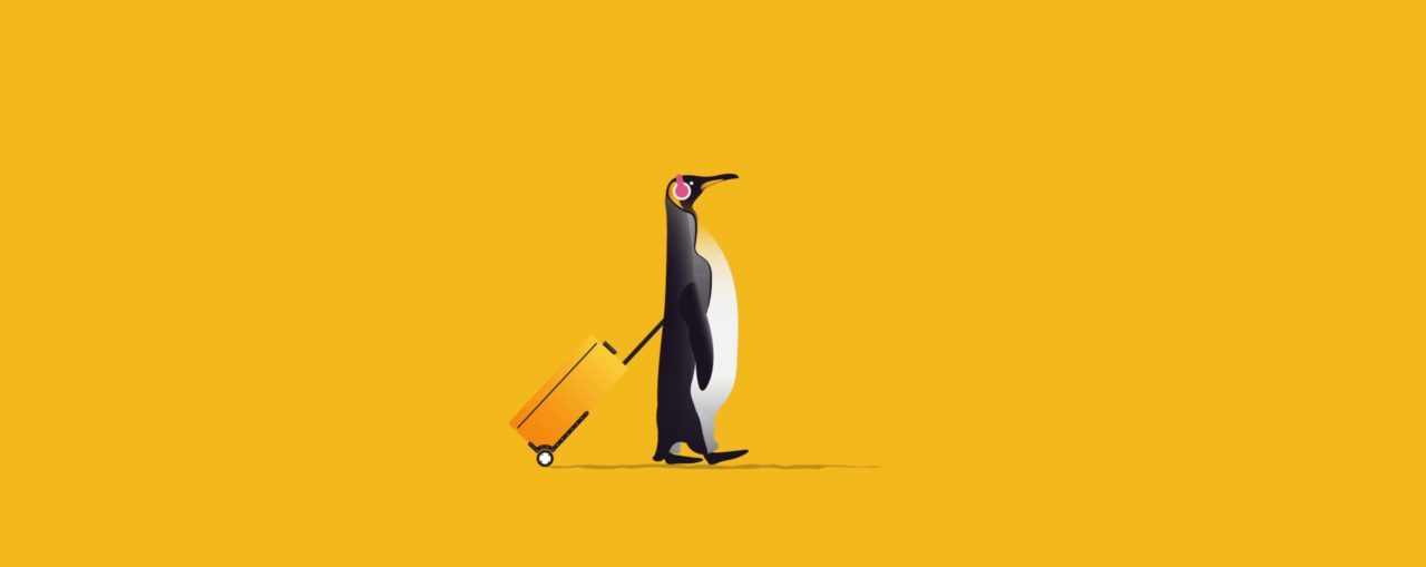 Landline’s Penguin Palooza Includes Free Roundtrip Domestic Airfare