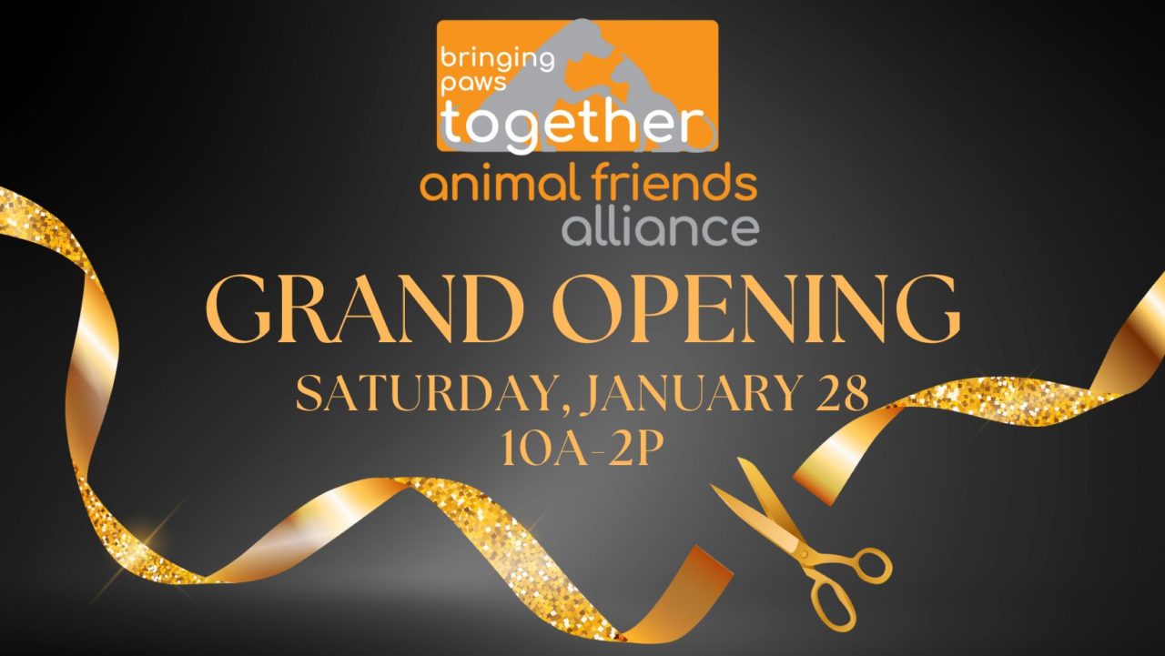Animal Friends Alliance hosts Grand Opening Event at New Shelter