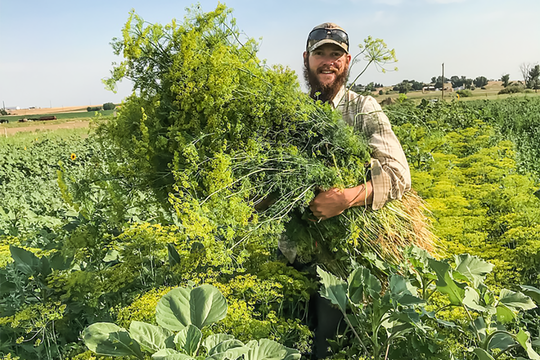 Monroe-Organic-Farm2