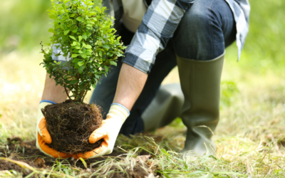 Human Bean Planting a Tree for Every Drink Sold on Earth Day