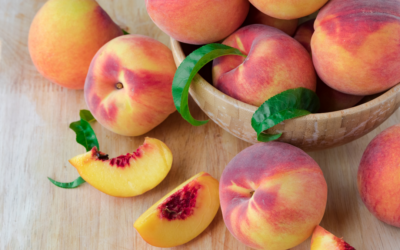 Fort Collins Peach Festival Returns