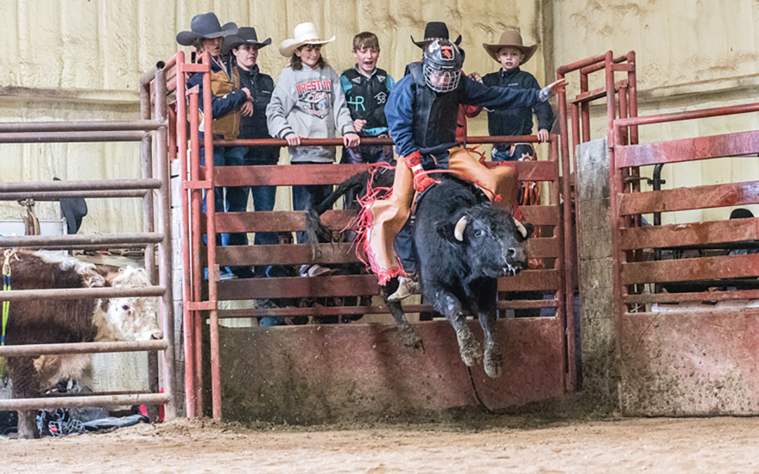 Life Lessons With a Side of Bucking Bulls