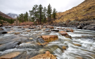 Open Outdoors for Kids Grant Funding Connects Students to the River Corridor