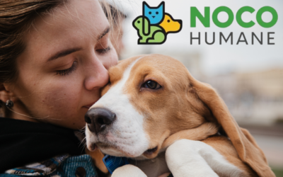 Larimer Humane Society is Now NOCO Humane