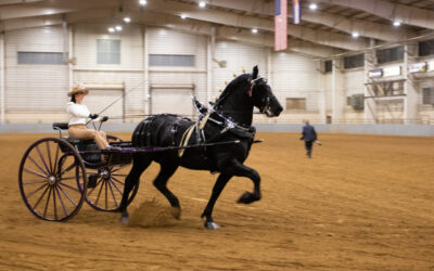 Big Thunder Draft Horse Show 