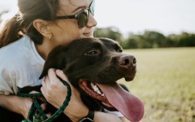 Dog Days at The Elizabeth Hotel