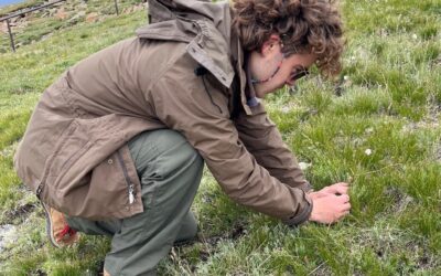 Community Science Intern Represented at RMNP’s 2024 Biennial Research Conference