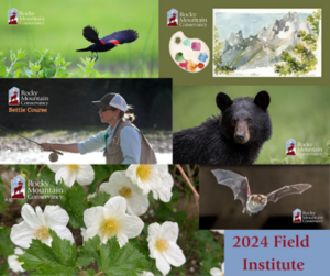 Rocky Mountain Conservancy Field Institute 2024