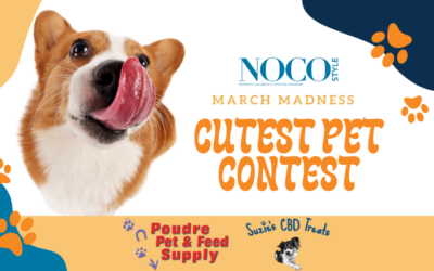 Cutest Pet Photo Contest