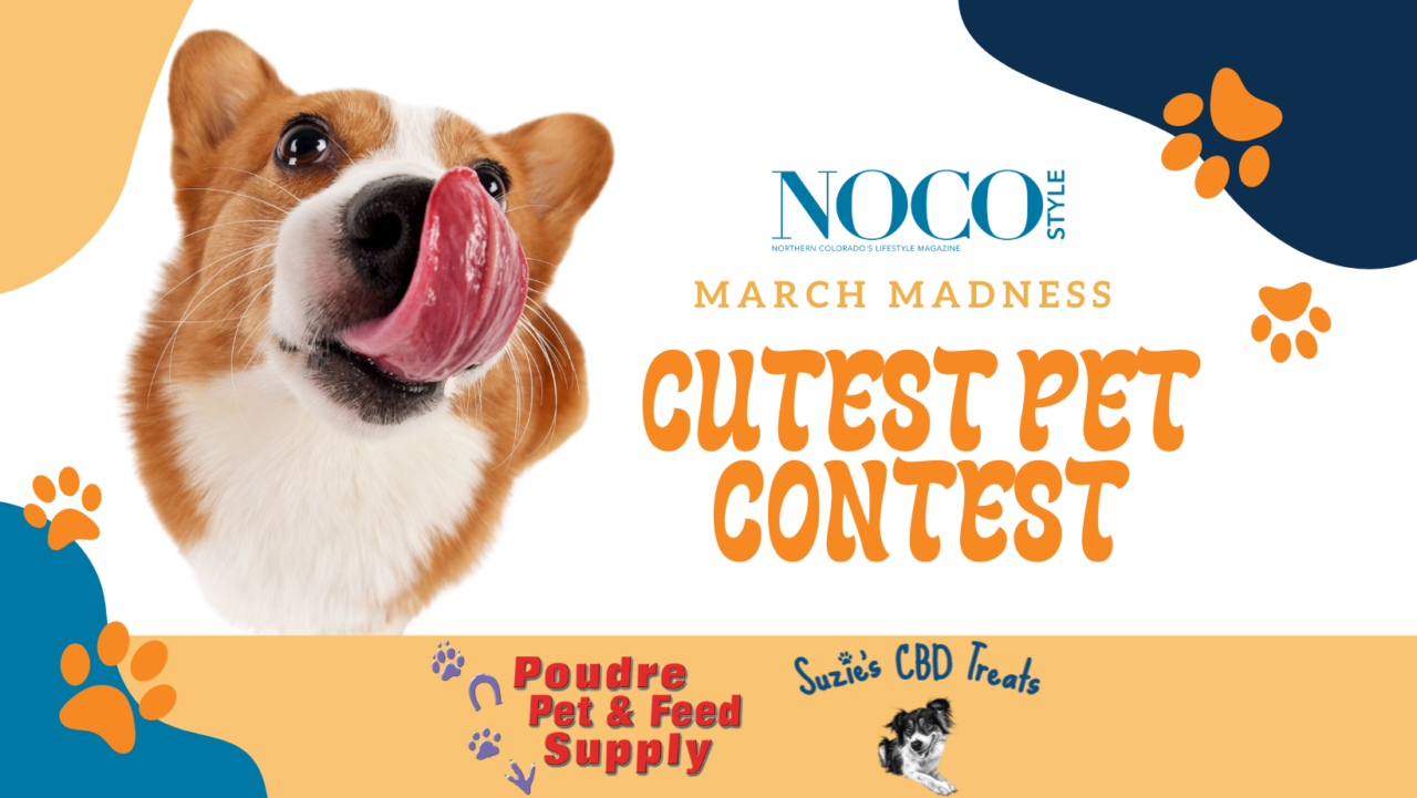 Cutest Pet Photo Contest NOCO Style Magazine