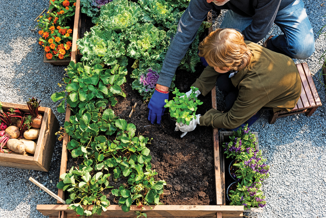 Gardening