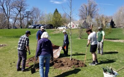 Greeley to Celebrate 44th Annual Arbor Day