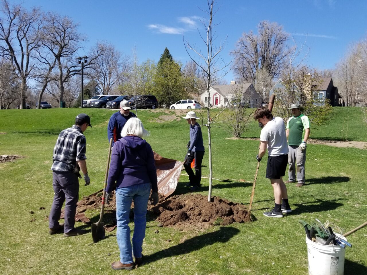 A group of people gather around a small tree planted in a park.