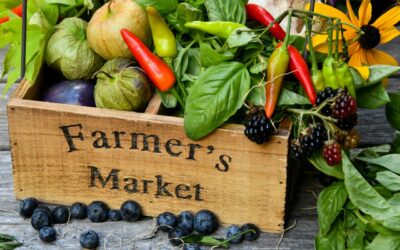 Greeley Farmers’ Market Relocates to Downtown Hub, Expands Visitor and Vendor Experience