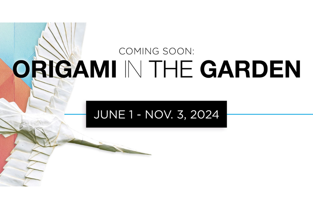 An announcement for The Gardens on Spring Greek's ORIGAMI IN THE GARDEN, hosted from June 1-Nov. 3, 2024, in Fort Collins, CO.