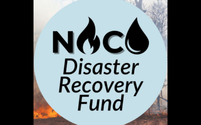 Northern Colorado Disaster Recovery Fund to Support Alexander Mountain Fire Response and Recovery Efforts