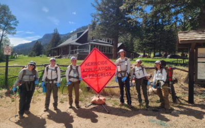 Resiliency Efforts in Rocky Mountain National Park