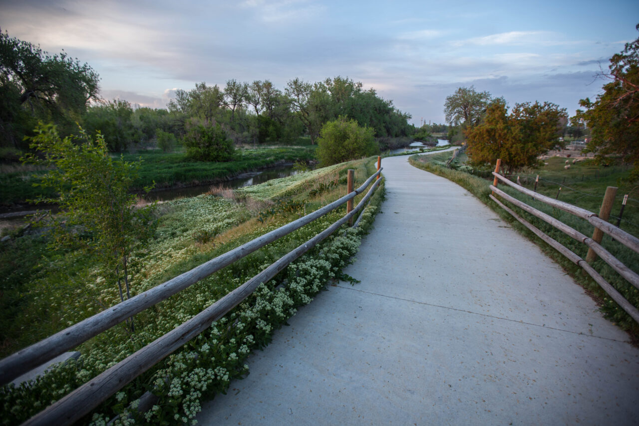 A paved trail along the Poudre River with wood post fencing and plants surrounding it.