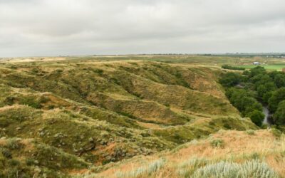 Green and brown prairie expanse with steep arroyos, a river running through it with full green trees and a gray cloudy sky.