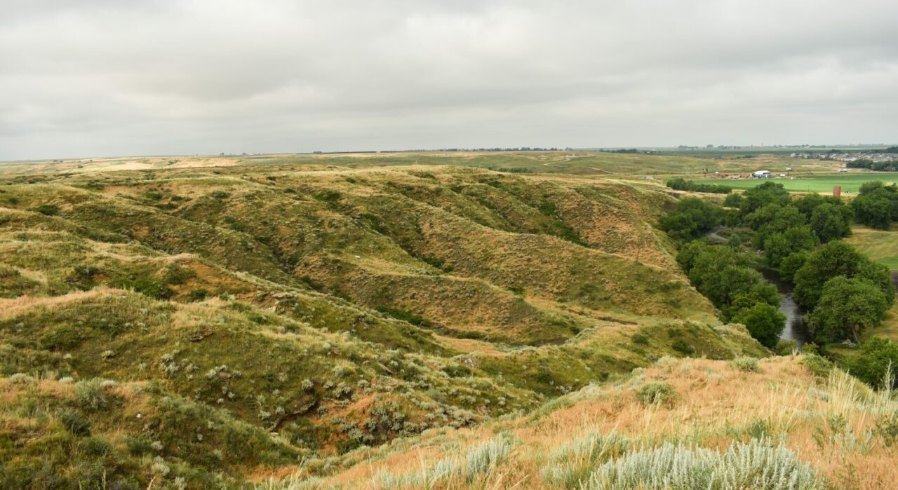 Green and brown prairie expanse with steep arroyos, a river running through it with full green trees and a gray cloudy sky.