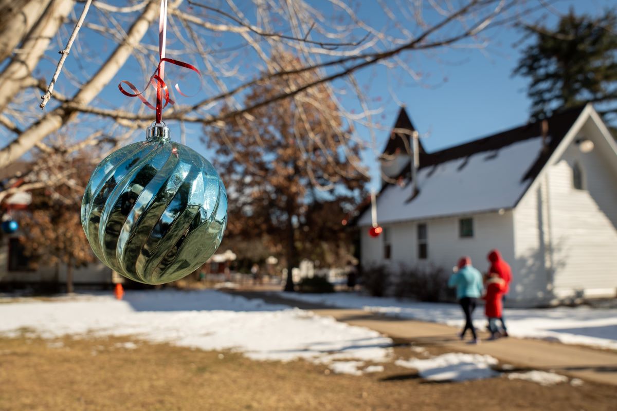 Ornament hanging on an outdoor tree in foreground with white building and snow in background.