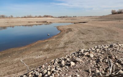 A dry, barren pond with a small patch of water remaining near the center, surrounded by sandy, rocky shores.