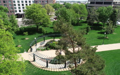 Greeley Kicks Off First Urban Forest Strategic Plan