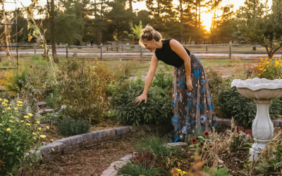 Homesteading in the Suburbs