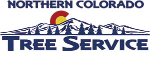 New-Logo-05_2020
