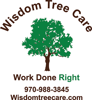 Wisdom-Tree-Care