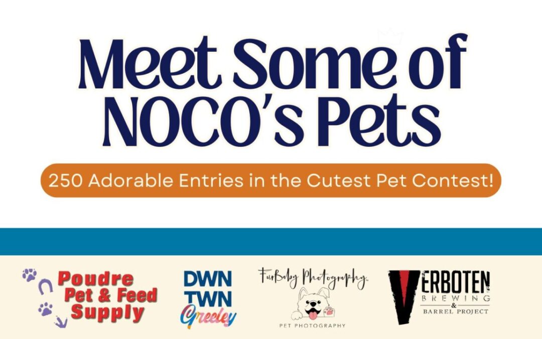 Meet the Pets: 250 Adorable Entries in the Cutest Pet Contest!