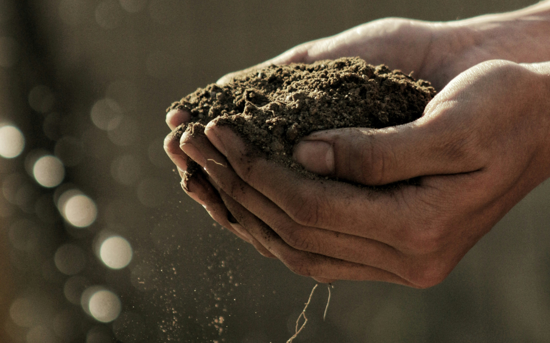 Ways to Make a Difference on Earth Day (and Every Day)
