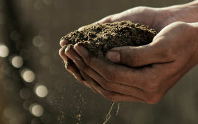 Ways to Make a Difference on Earth Day (and Every Day)