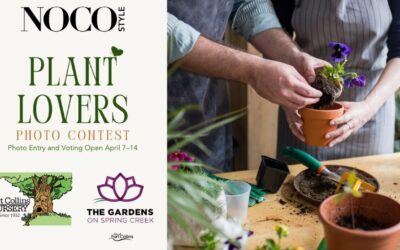 Plant Lovers Photo Contest